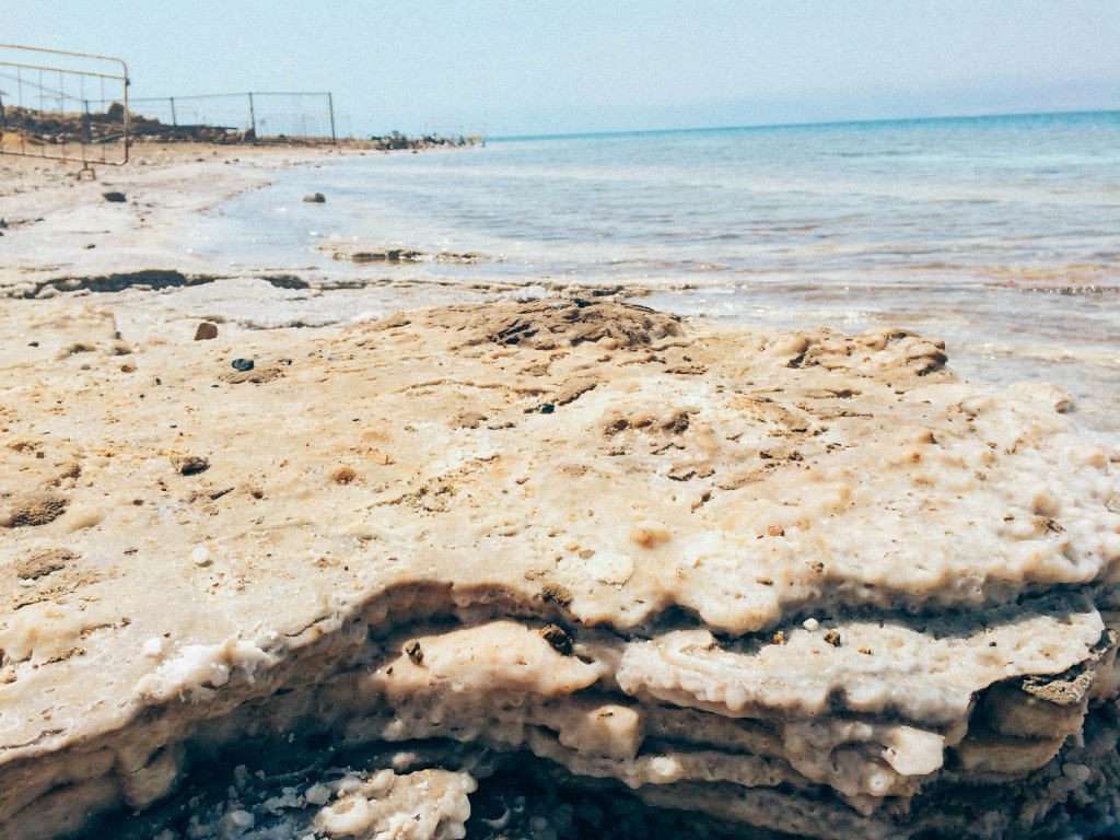 The Dead Sea 