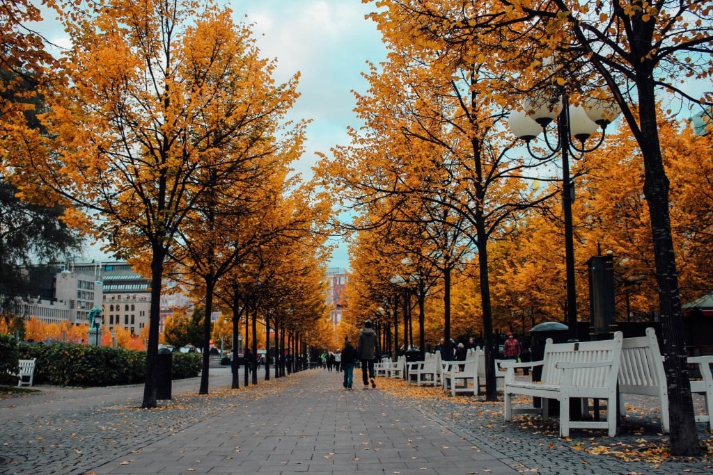 Stockholm in the Fall