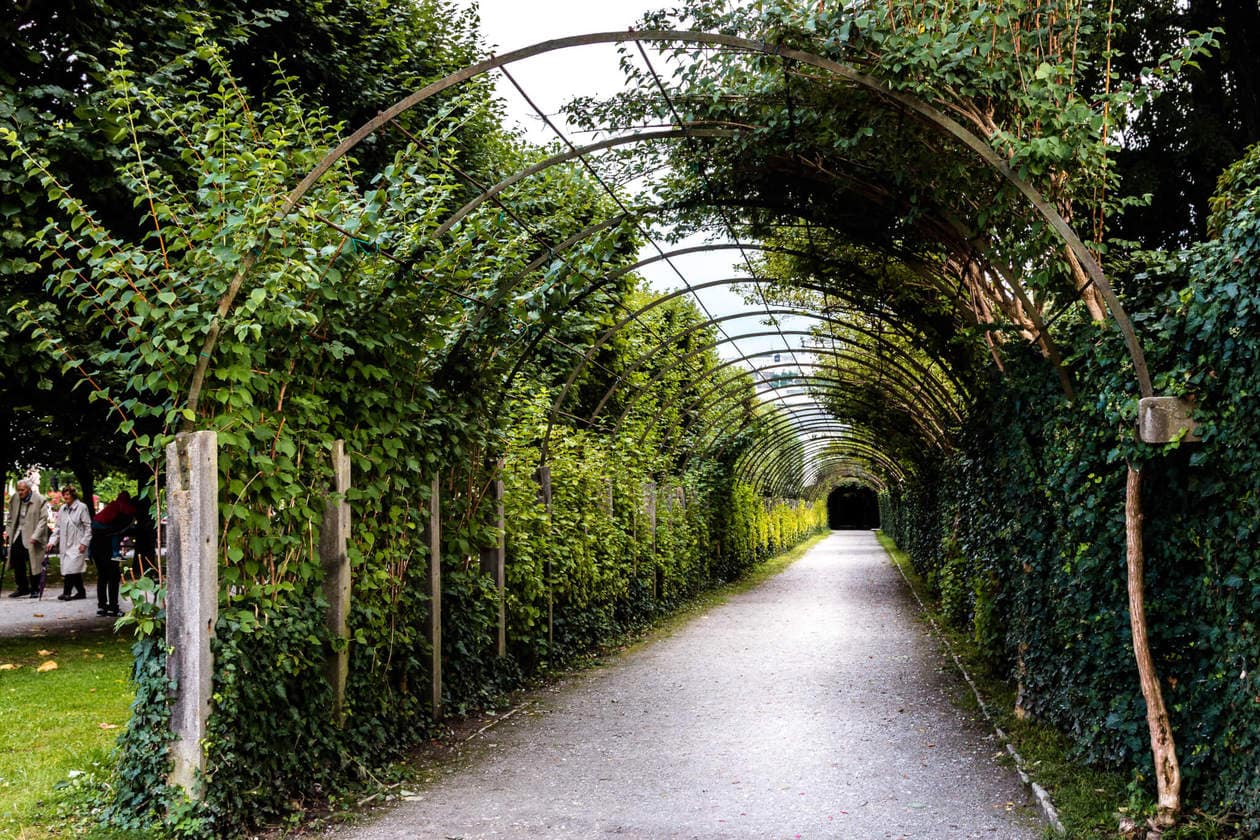 The Sound of Music Hedge Tunnel | Mirabell Gardens 