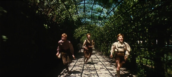 The Sound of Music Hedge Tunnel