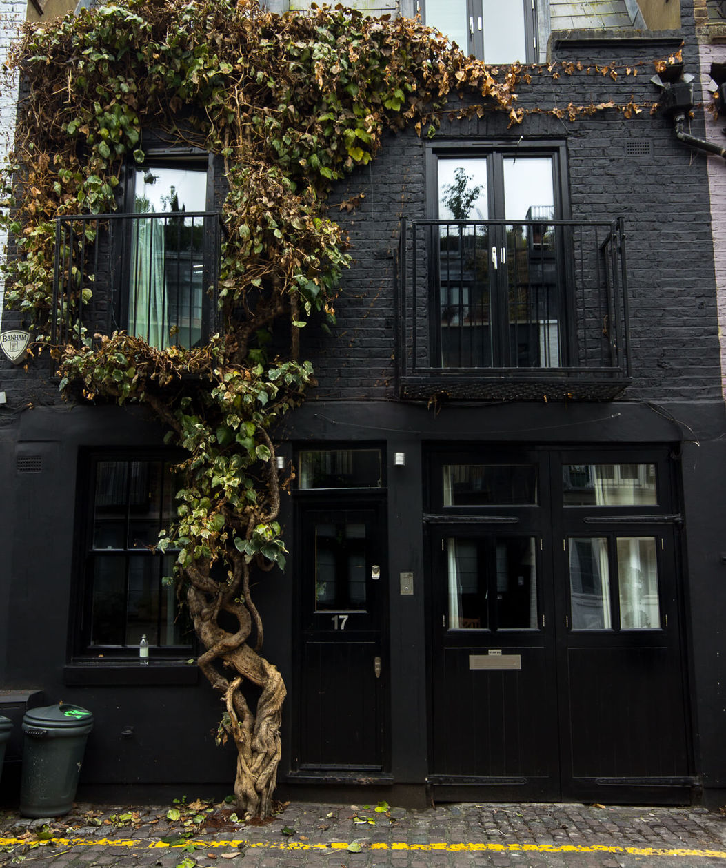 Notting Hill Houses: St Luke's Mews