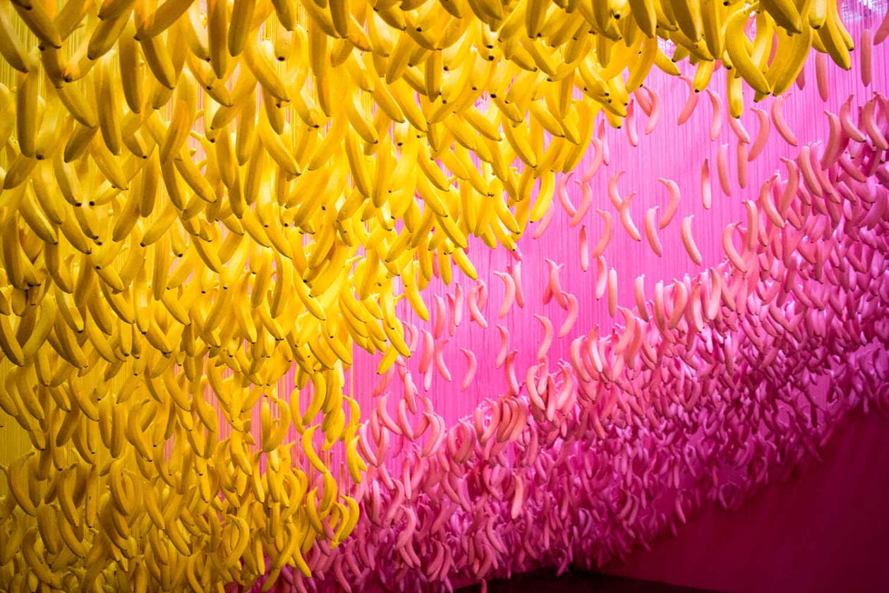 A colorful photo walkthrough from the most photogenic art exhibit in the United States, the Museum of Ice Cream! Swim in the infamous sprinkle pool, sample ice cream and level up your Instagram feed with this fun, traveling pop-up. Locations in Los Angeles, Miami, New York and San Francisco.