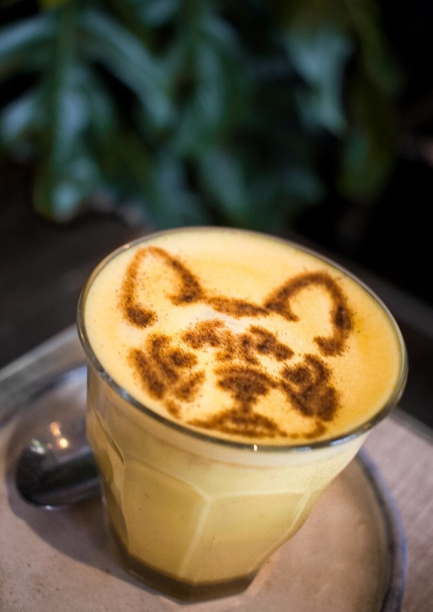 French Bulldog Latte