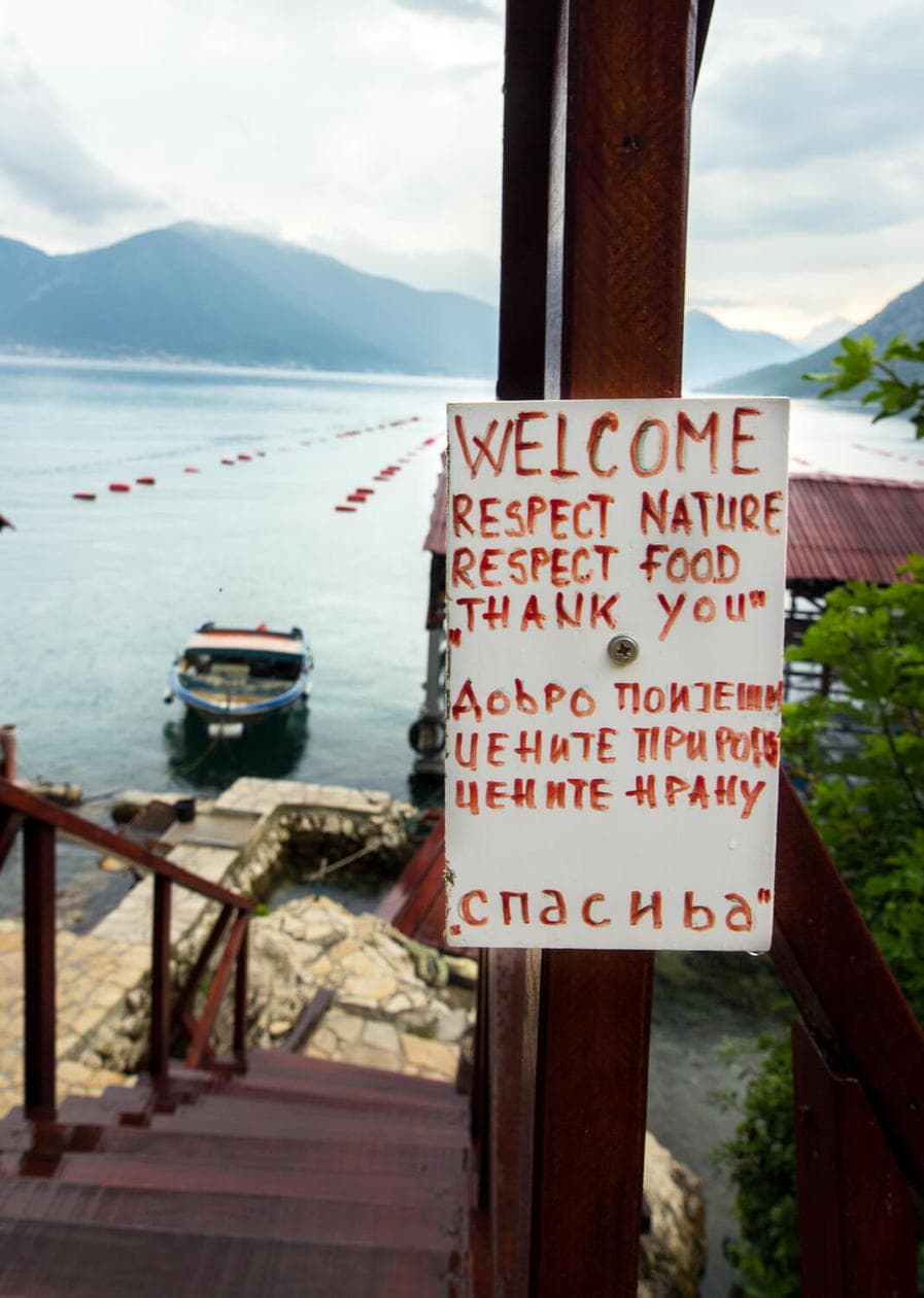 Sustainable Oyster Farm in Montenegro