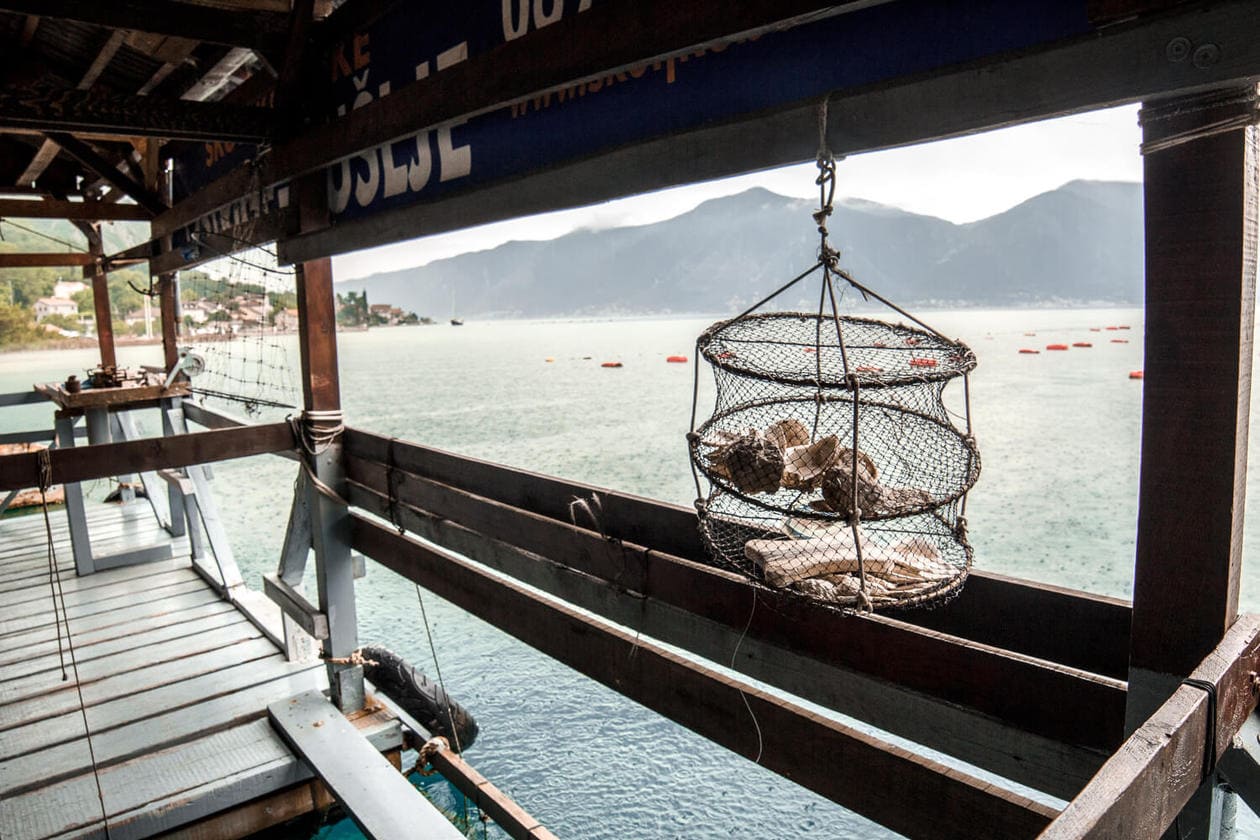 Oyster Farm Montenegro