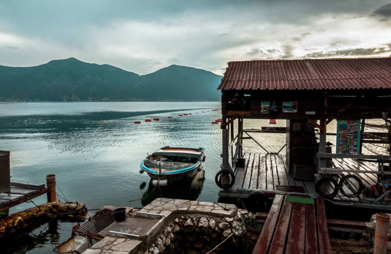 A Hidden Gem in Kotor: Sustainable Oysters and Mussels