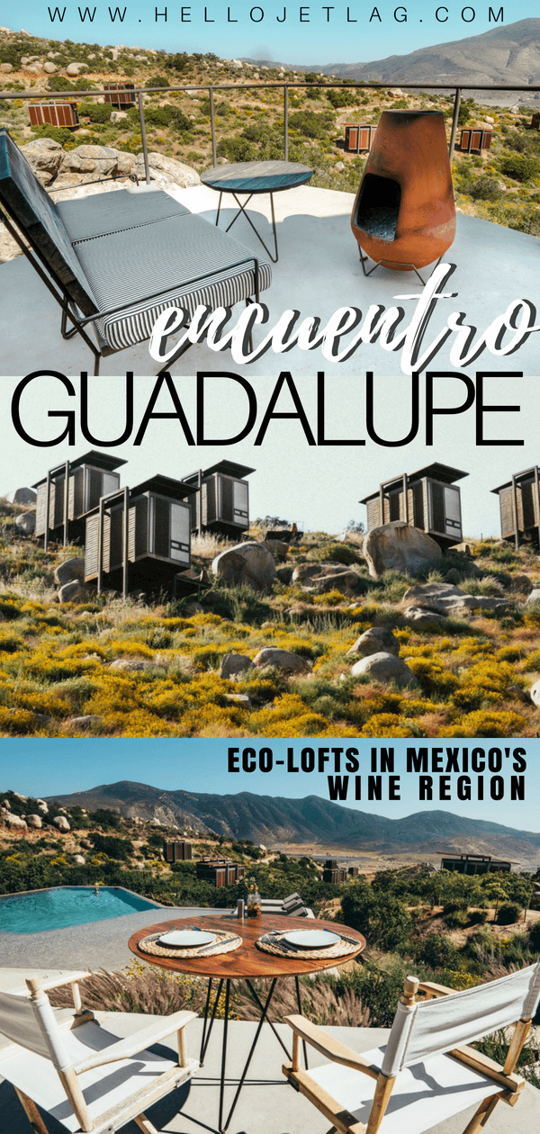 Encuentro Guadalupe is one of the most unique Valle de Guadalupe hotels and winery. From their suspended eco-friendly design, to the private guest pool and bar, read all about these modern eco lofts.