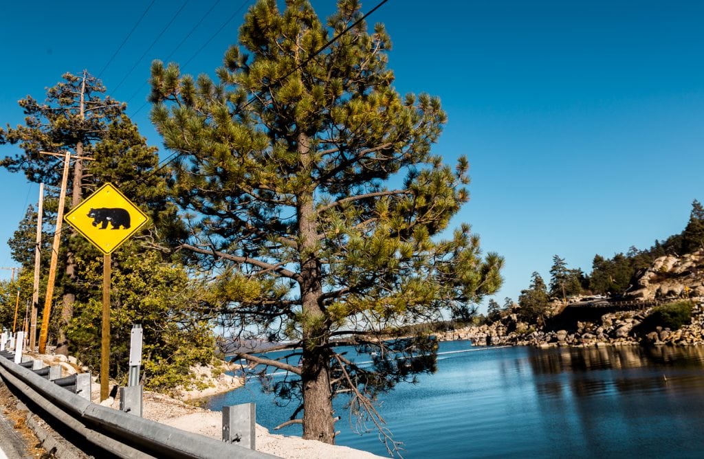 What to Do in Big Bear During Oktoberfest A Weekend Itinerary