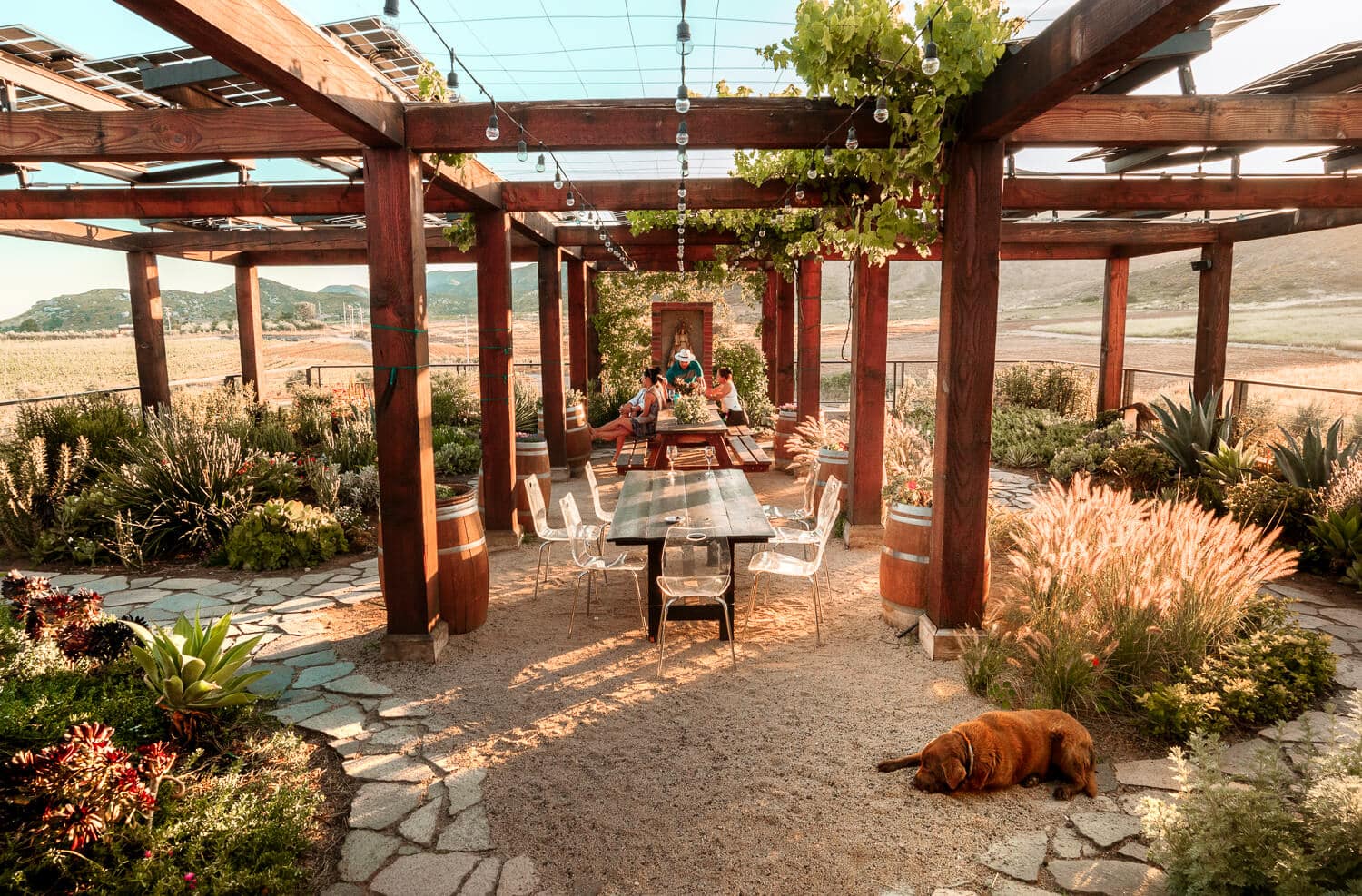 9 Valle de Guadalupe Wineries to Check Out in Mexico's Wine Region