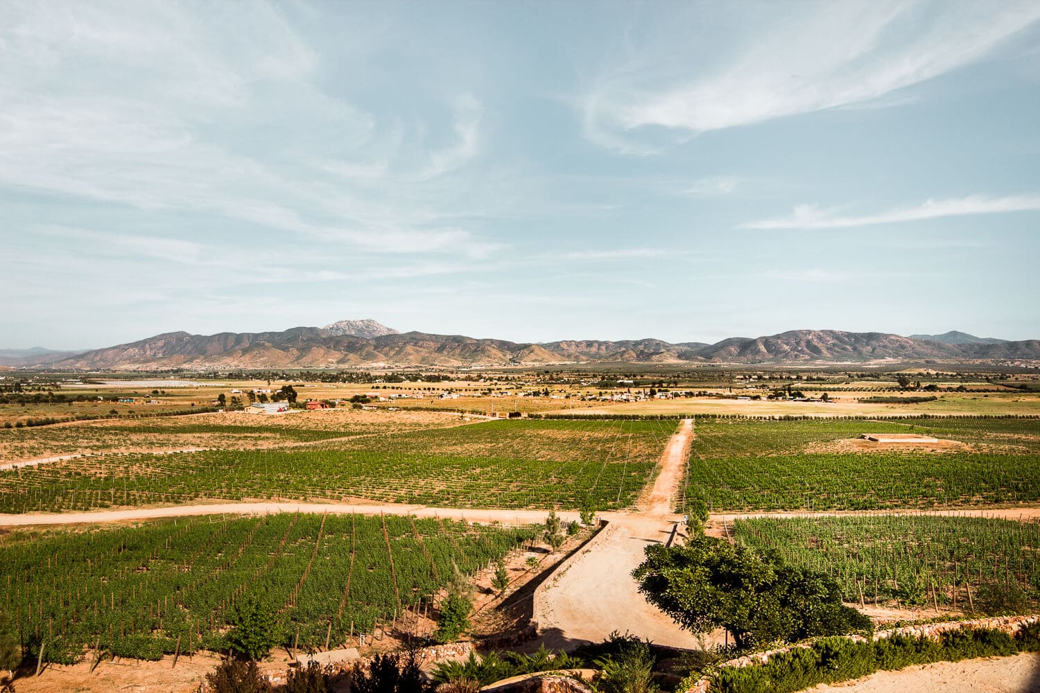 Las Nubes | Valle de Guadalupe is one of the most up and coming wine regions in the world. From it's innovative designs, picturesque views and award winning wines, keep reading to discover which Valle de Guadalupe wineries you shouldn't miss while in Baja California, Mexico. 