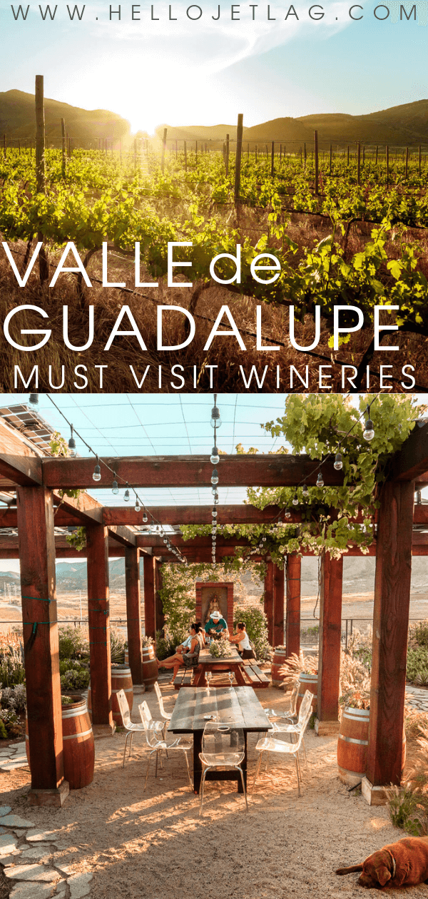 Valle de Guadalupe Wineries 