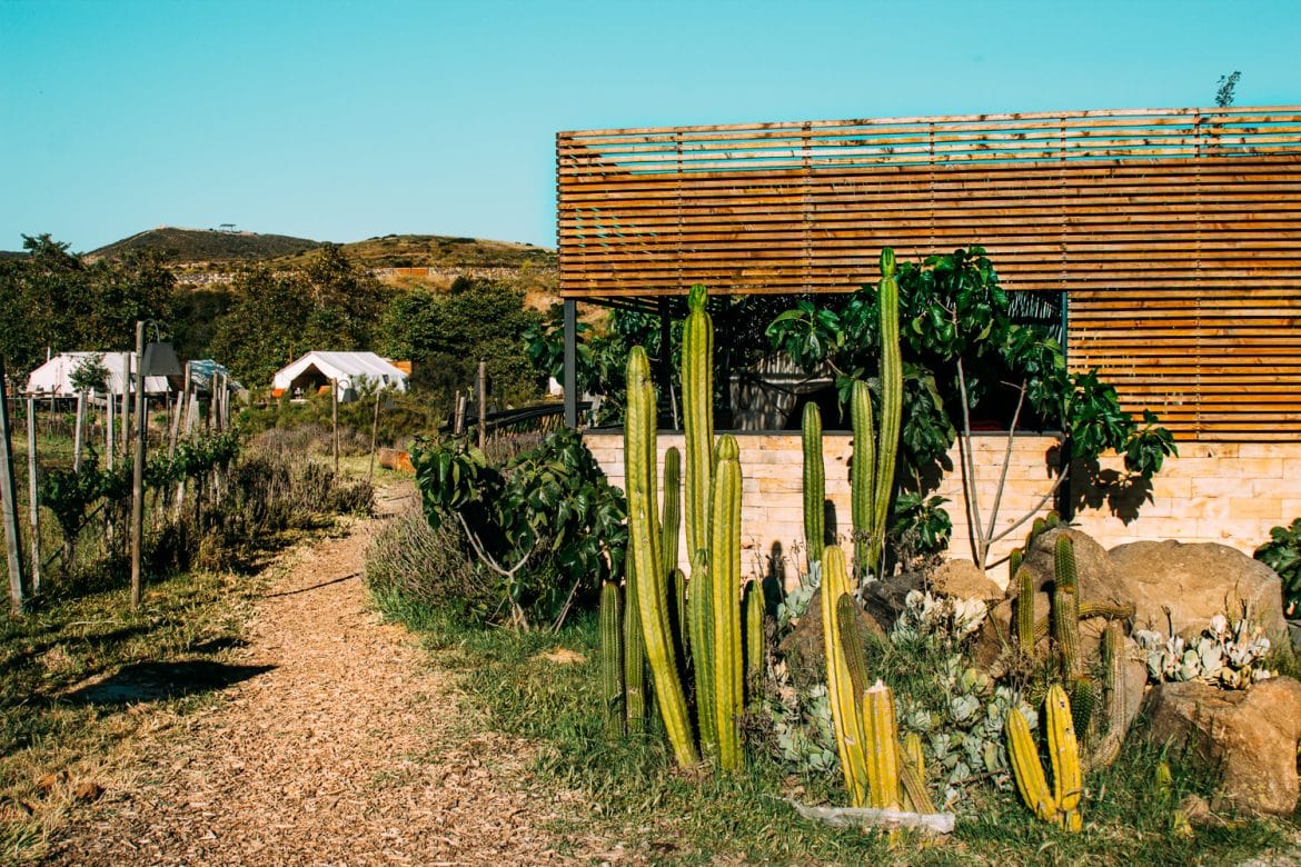 4 Unique Valle De Guadalupe Hotels and Airbnb's in Mexico's Wine Country