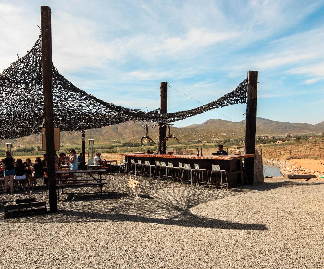 Vena Cava Winery | Wineries in Valle De Guadalupe 