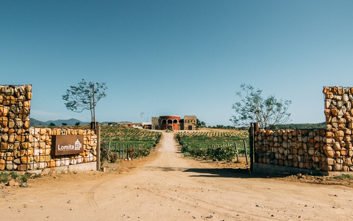 La Lomita Valle De Guadalupe Winery