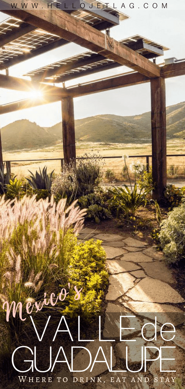 The Ultimate Guide to Valle de Guadalupe, Mexico
