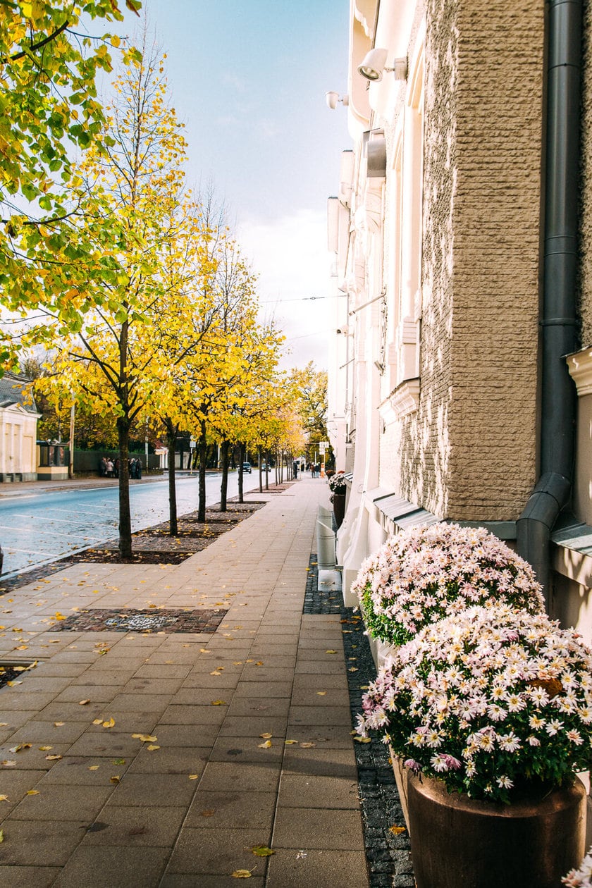 20 Pictures of Riga to Inspire You to Visit // Art Nouveau District