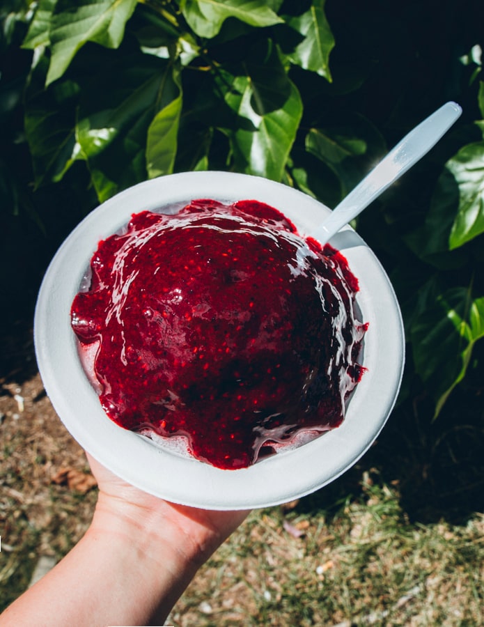 Best Shave Ice on Oahu 