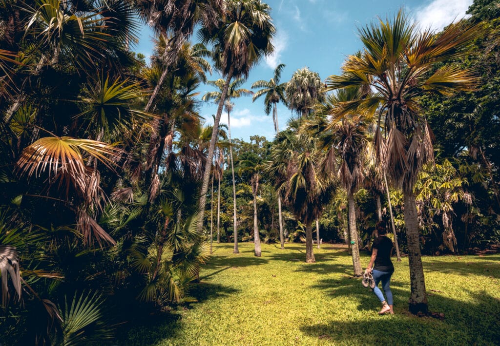 Oahu Botanical Garden