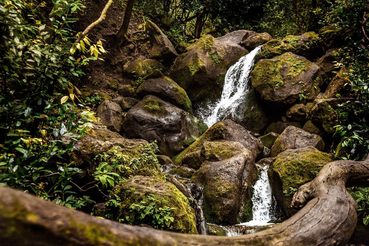 Escursione attraverso una giungla Hawaii alla bella Lulumahu Falls nella regione Pali di Oahu. Continua a leggere per ulteriori informazioni + foto di questa breve e divertente escursione a cascata. Scopri consigli per la visita, come trovarlo e altro ancora.