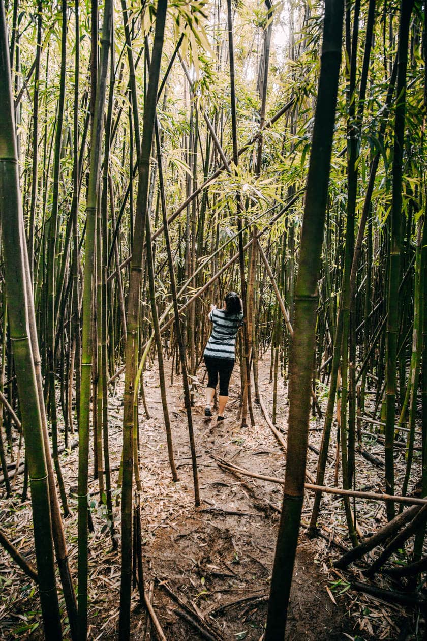 Hike through a Hawaii jungle to the beautiful Lulumahu Falls in the Pali region of Oahu. Keep reading for more information + photos of this short and fun waterfall hike. Discover tips for visiting, how to find it and more.