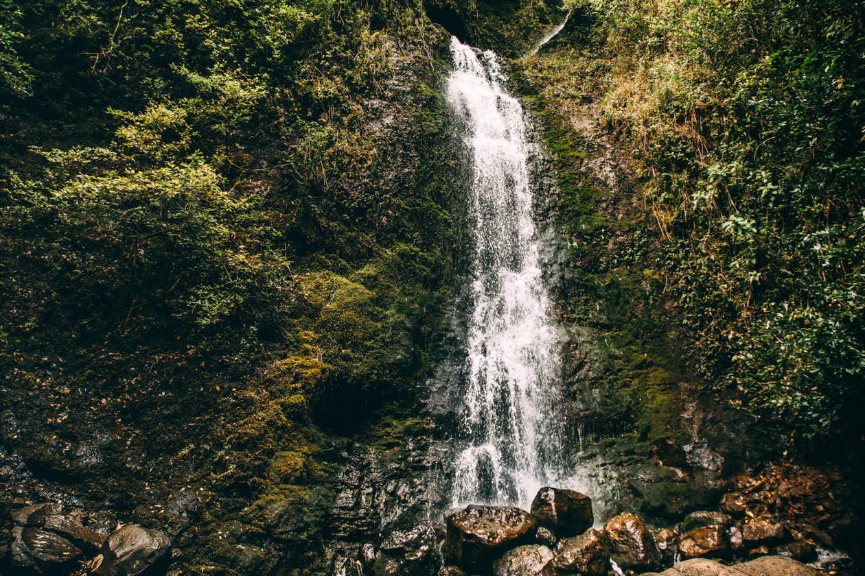 Hike through a Hawaii jungle to the beautiful Lulumahu Falls in the Pali region of Oahu. Keep reading for more information + photos of this short and fun waterfall hike. Discover tips for visiting, how to find it and more.