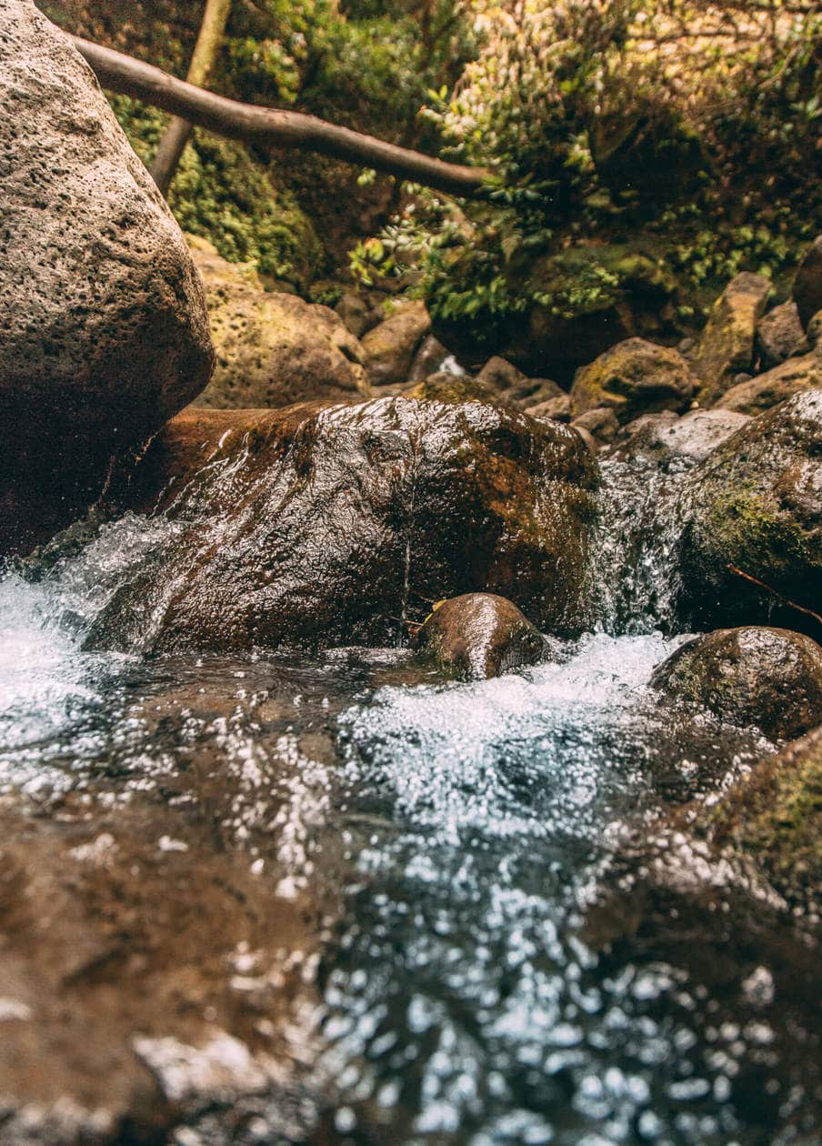 wandel door een Hawaii jungle naar de prachtige Lulumahu Falls in de Pali Regio van Oahu. Lees verder voor meer informatie + foto ' s van deze korte en leuke watervalwandeling. Ontdek tips om te bezoeken, hoe het te vinden en meer.