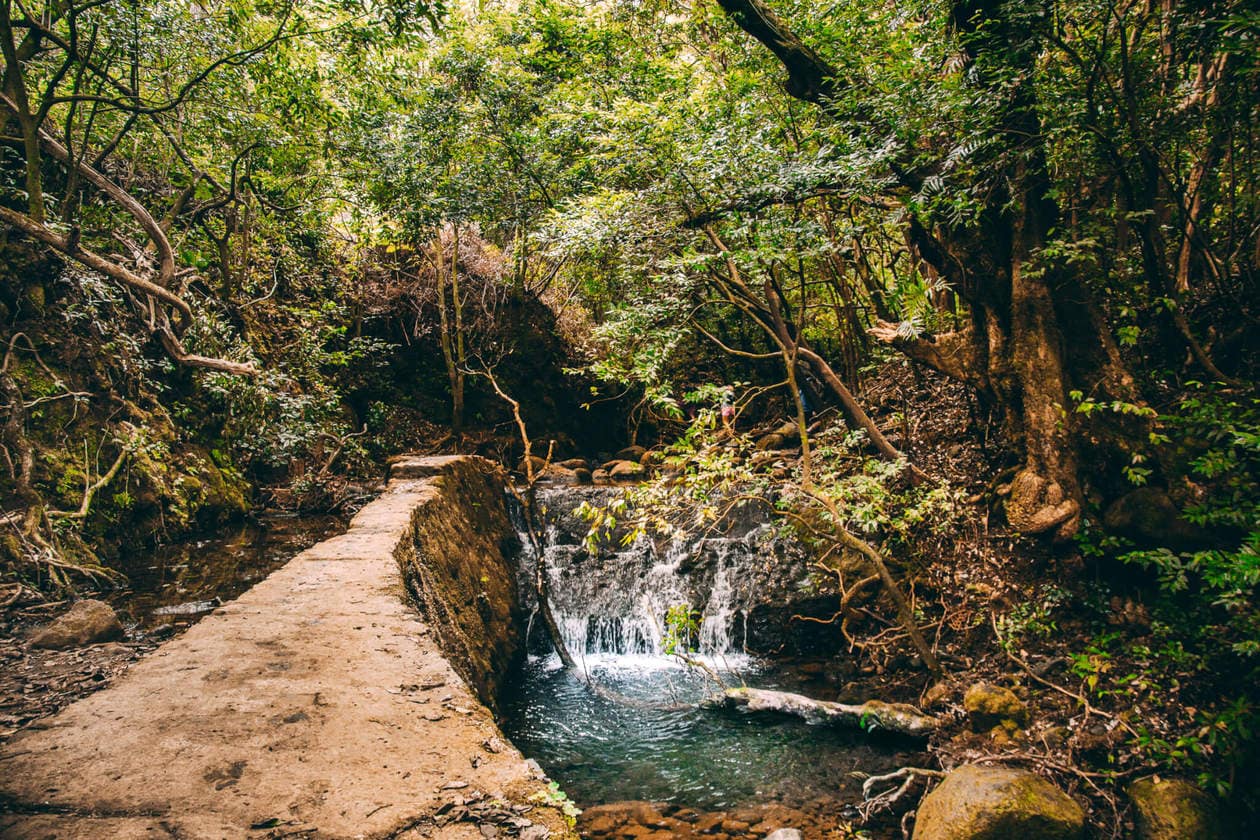  excursie pe jos printr-o junglă Hawaii la frumoasa Lulumahu Falls în regiunea Pali din Oahu. Continuați să citiți pentru mai multe informații + fotografii ale acestei excursii scurte și distractive la cascadă. Descoperiți sfaturi pentru vizitare, cum să o găsiți și multe altele.