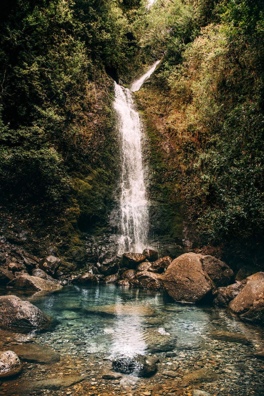  excursie pe jos printr-o junglă Hawaii la frumoasa Lulumahu Falls în regiunea Pali din Oahu. Continuați să citiți pentru mai multe informații + fotografii ale acestei excursii scurte și distractive la cascadă. Descoperiți sfaturi pentru vizitare, cum să o găsiți și multe altele.