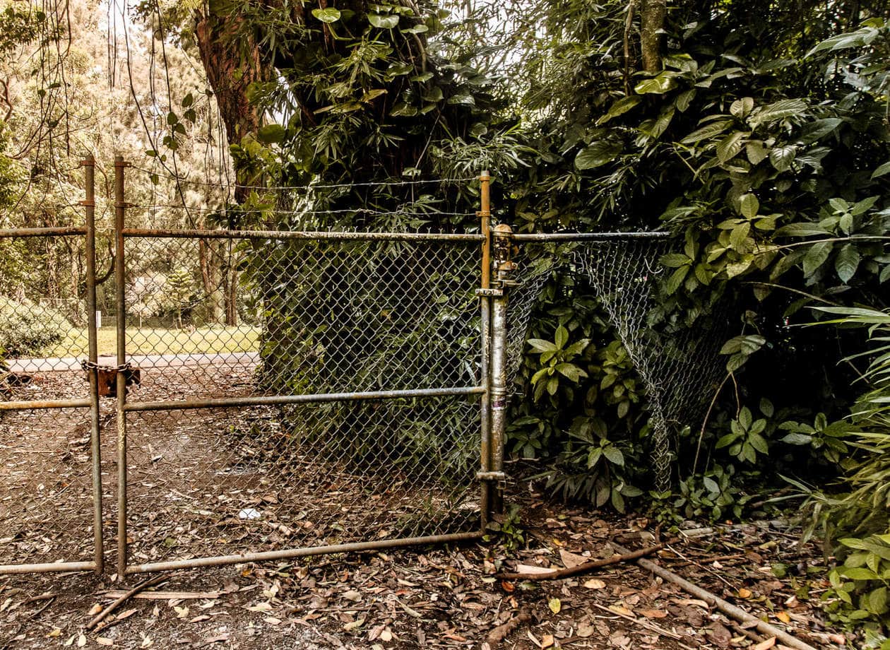 wandel door een Hawaii jungle naar de prachtige Lulumahu Falls in de Pali Regio van Oahu. Lees verder voor meer informatie + foto ' s van deze korte en leuke watervalwandeling. Ontdek tips om te bezoeken, hoe het te vinden en meer.