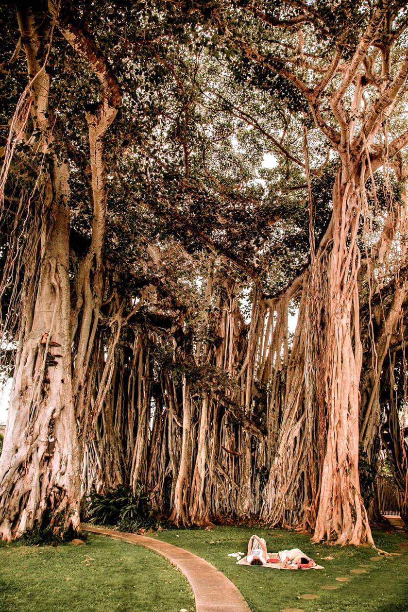 20 beautiful pictures of Oahu, Hawaii that capture all of the Aloha vibes; from jungle waterfalls, white sand beaches and colorful sunsets, keep reading to ignite your wanderlust and inspire your next visit to the Hawaiian Islands.