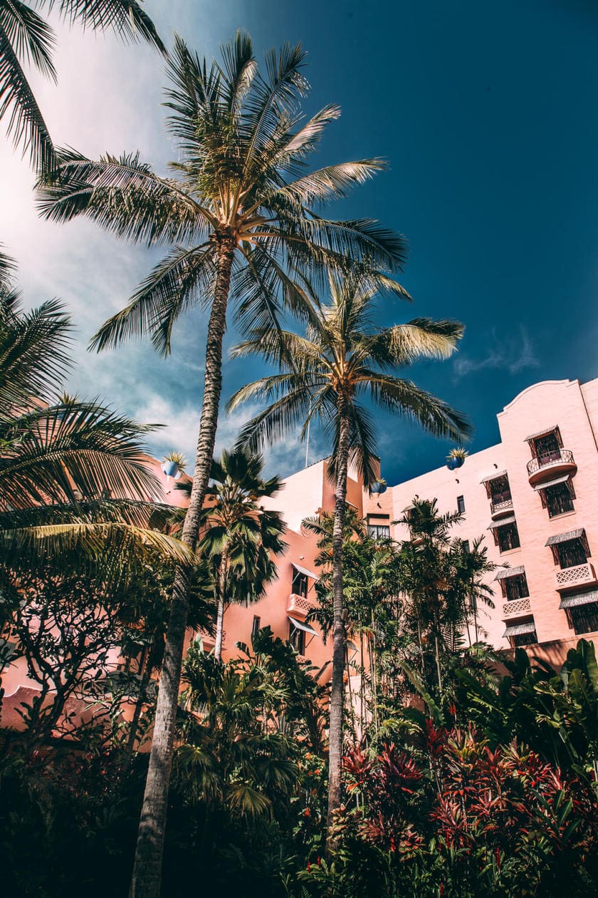 The Royal Hawaiian Hotel // 20 beautiful pictures of Oahu, Hawaii that capture all of the Aloha vibes; from jungle waterfalls, white sand beaches and colorful sunsets, keep reading to ignite your wanderlust and inspire your next visit to the Hawaiian Islands.