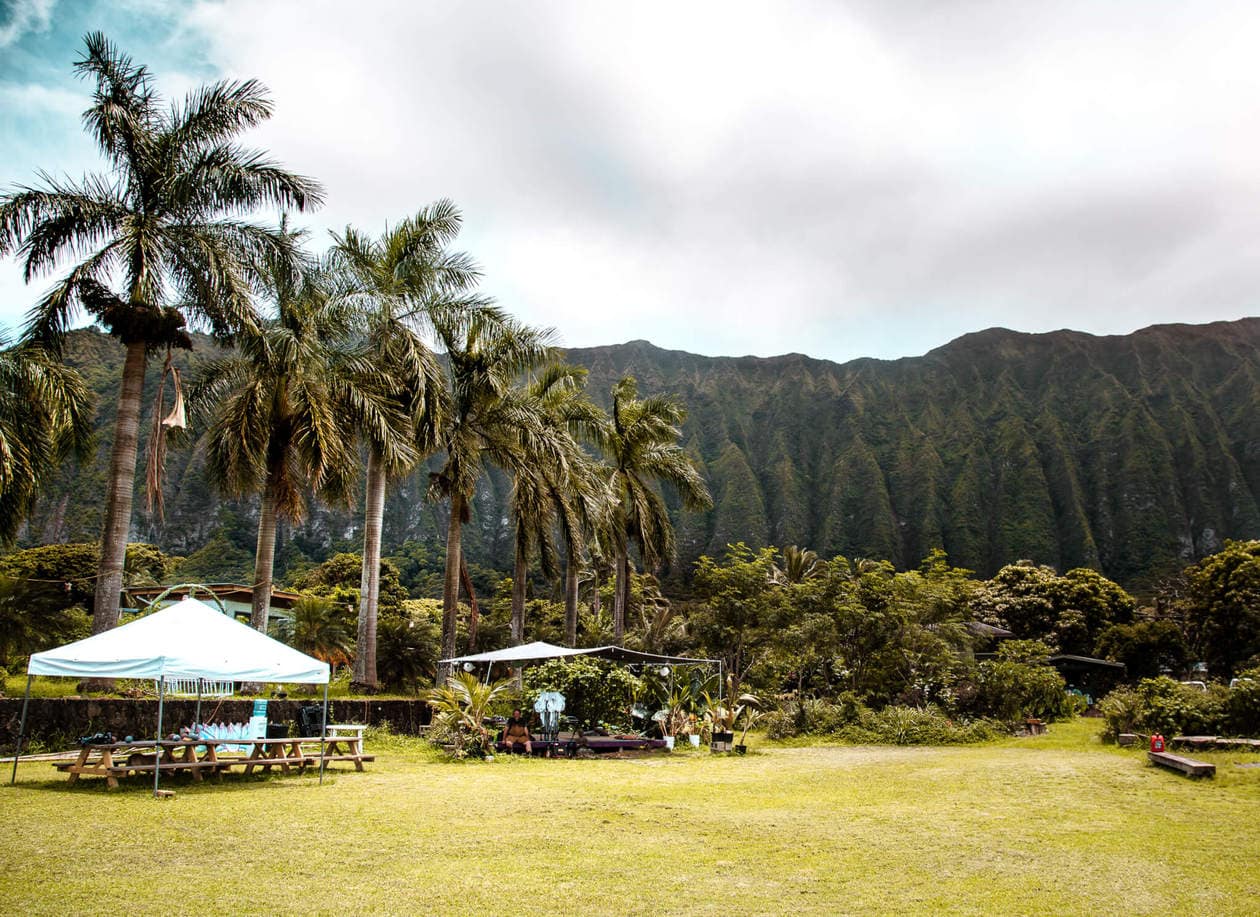 Green Rows Farm Oahu 