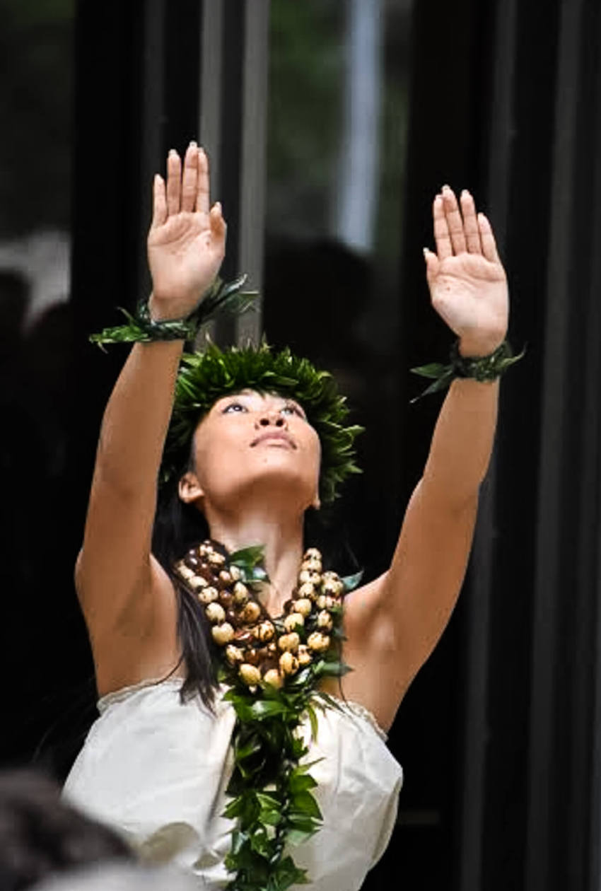 Halau Hula 