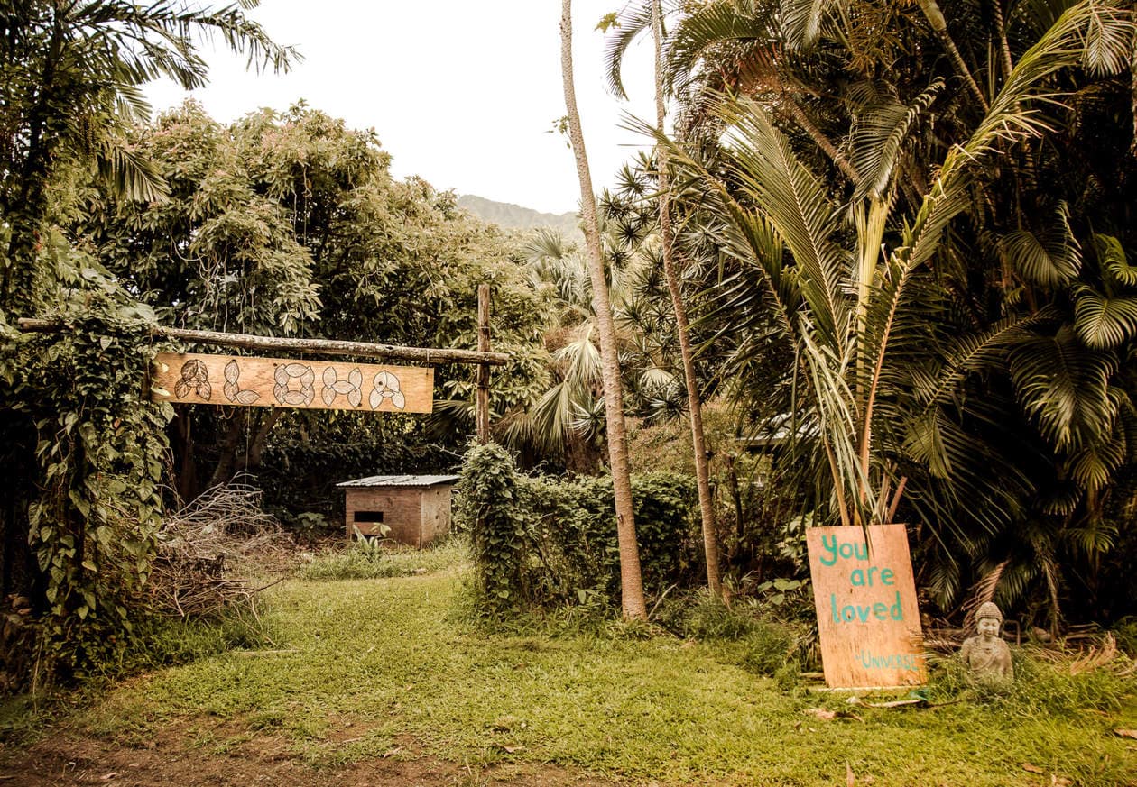 Green Rows Farm Oahu