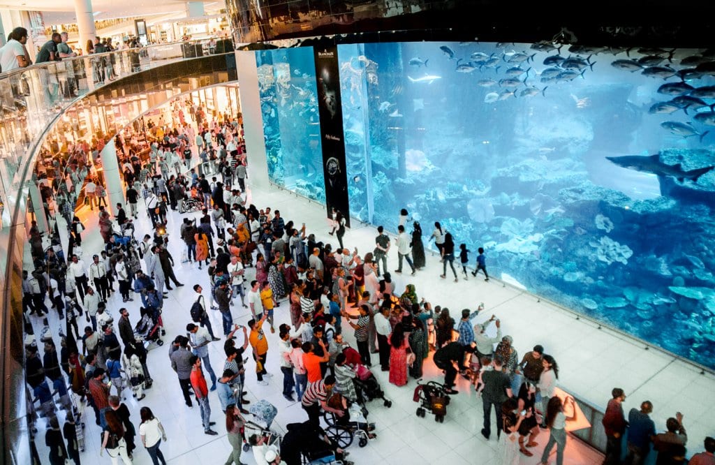 The Dubai Mall Aquarium 