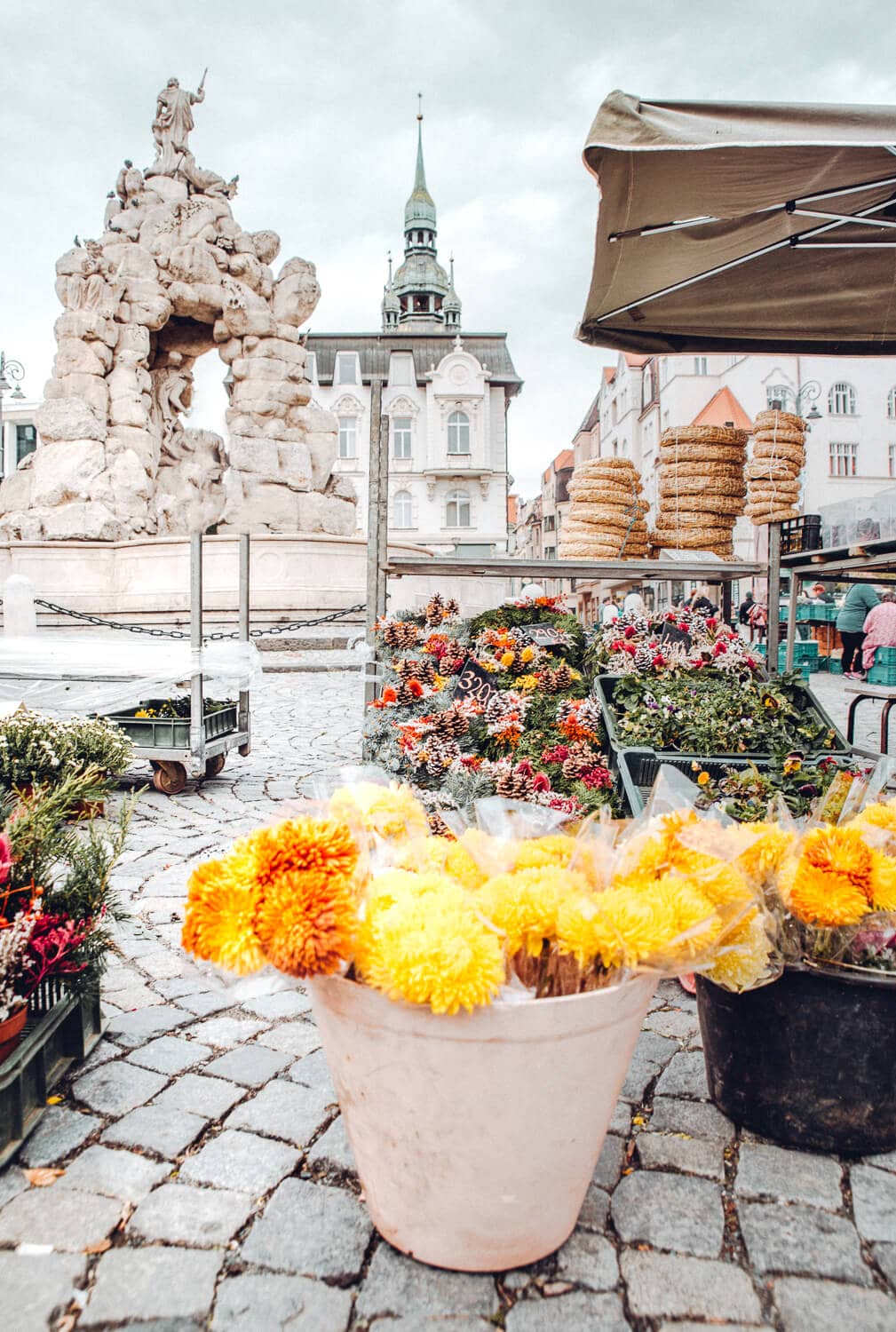 Brno Market 