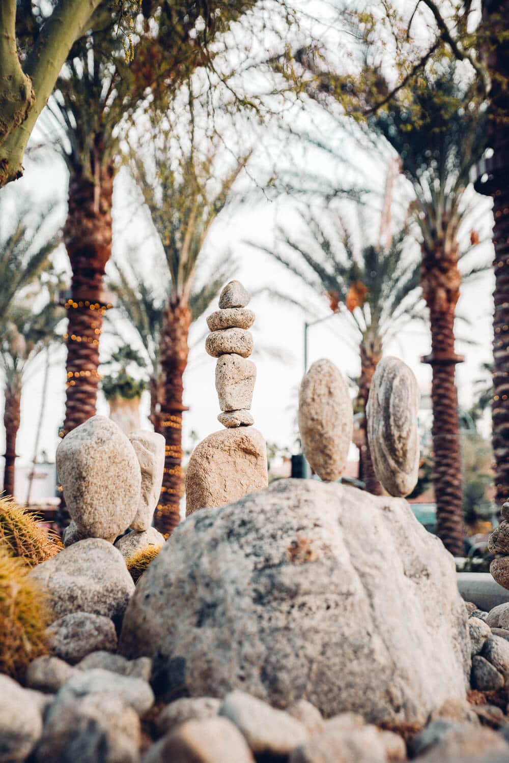 From the best local shops to a $4.95 bottomless champagne brunch, and the city's most instagrammable locations, here are 15 local gems you must visit during your next Palm Springs getaway.