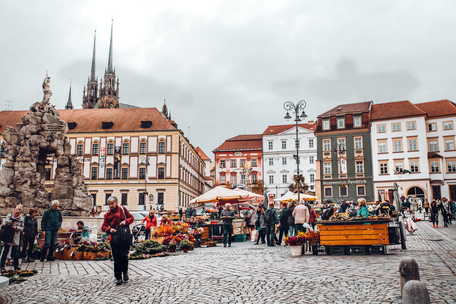 Brno Market, Czechia 