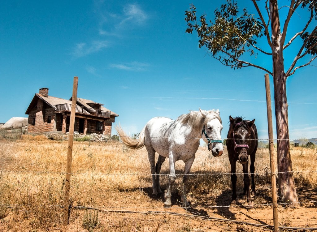 Valle de Guadalupe