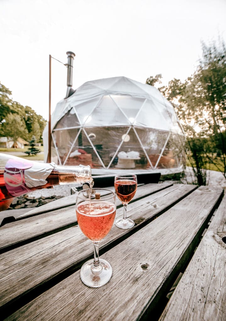 Rose while Glamping in France 