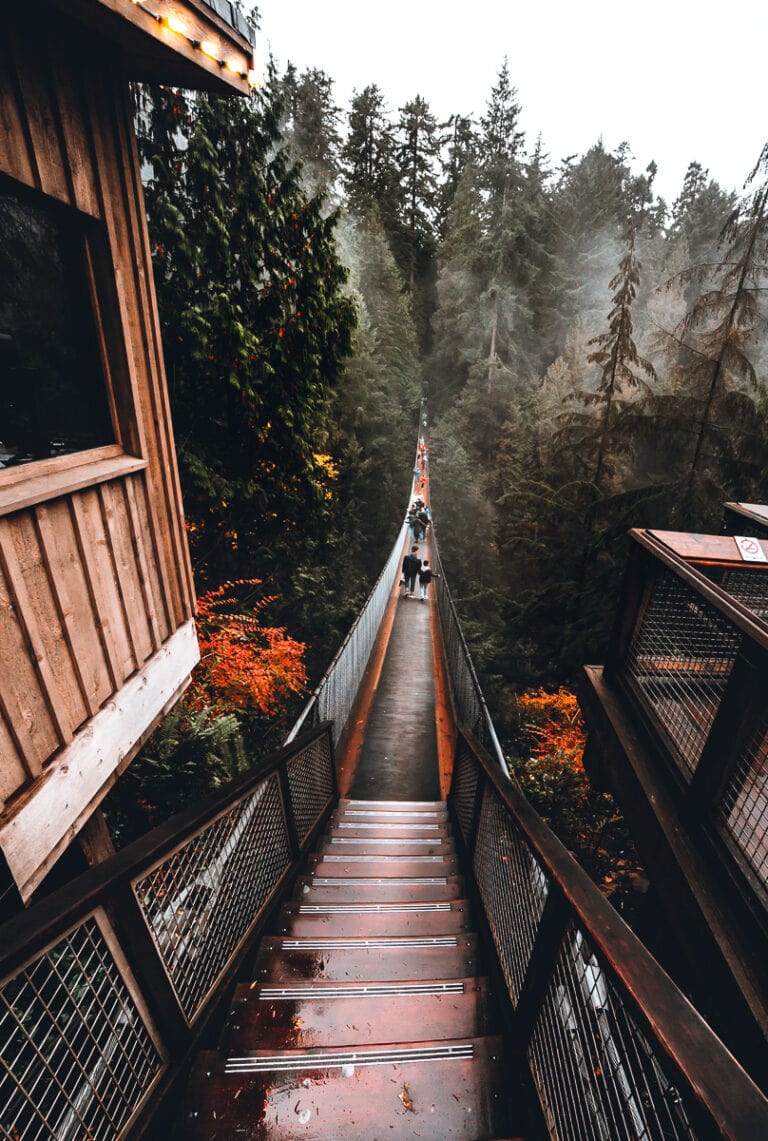 Capilano Suspension Bridge Park Vancouver // A Visitor's Guide