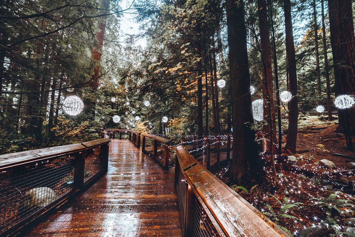 Holiday Lights at Capilano Suspension Bridge Park in Vancouver