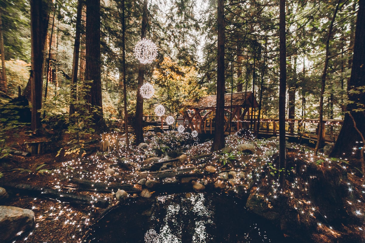 canyon lights at capilano park 