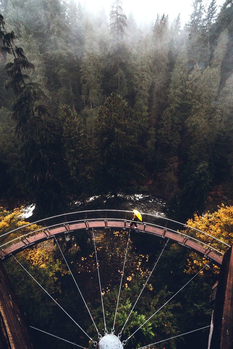 Capilano Suspension Bridge Park Pictures 