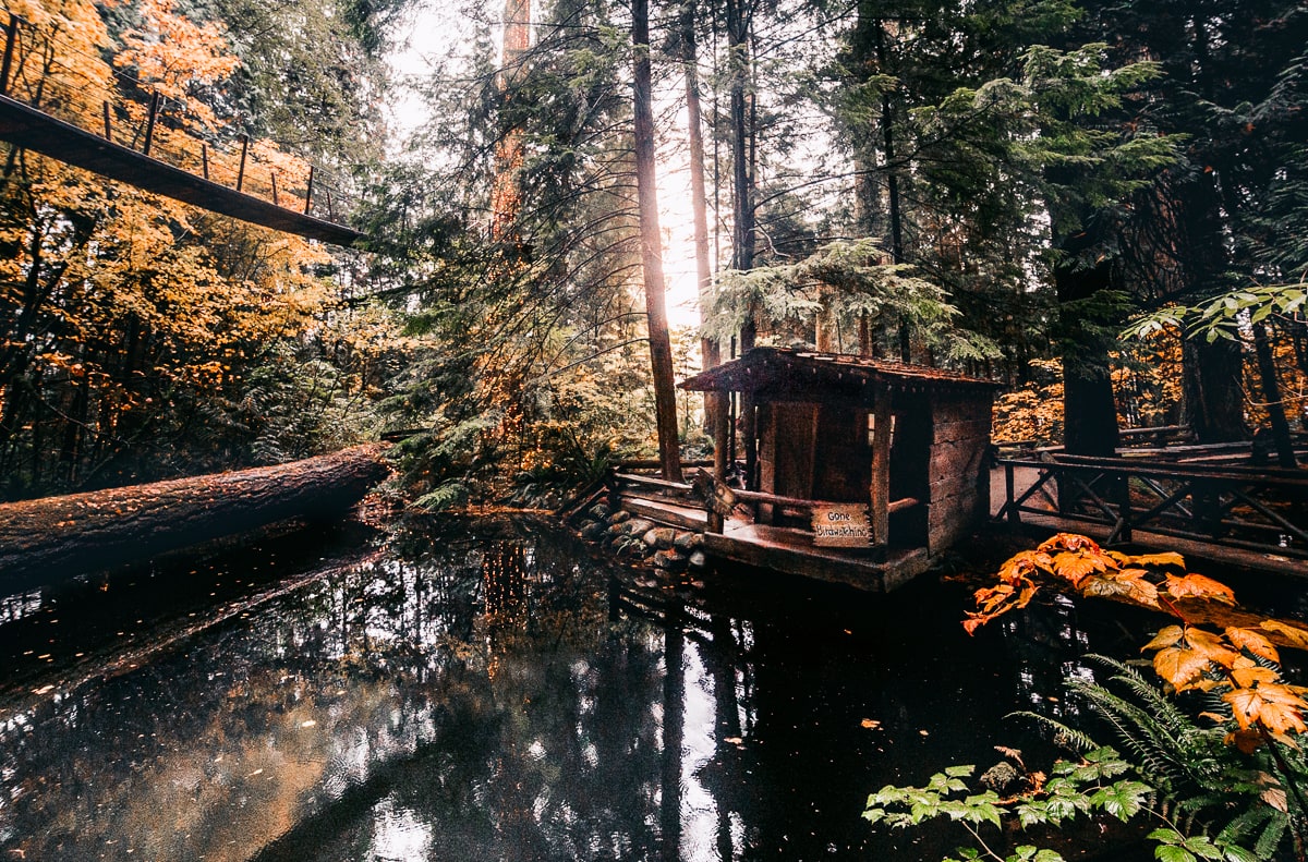 Capilano Suspension bridge Park 