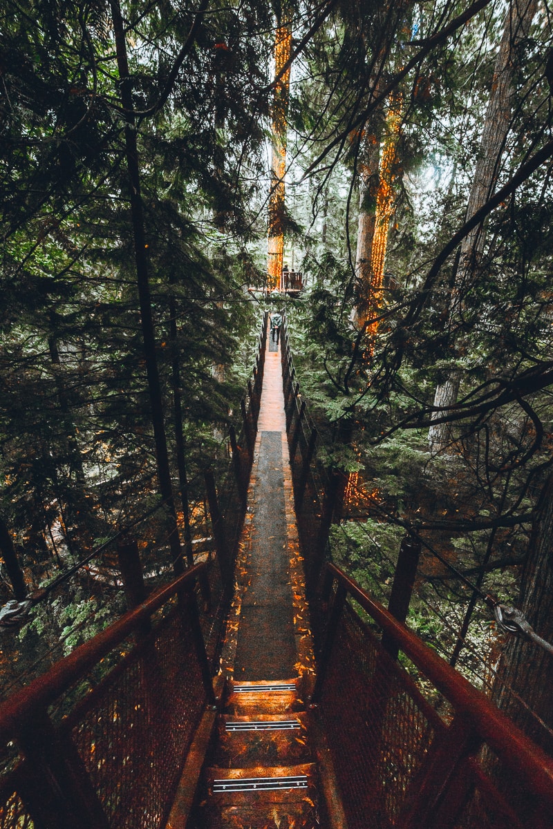 Treetop Adventure in Vancouver