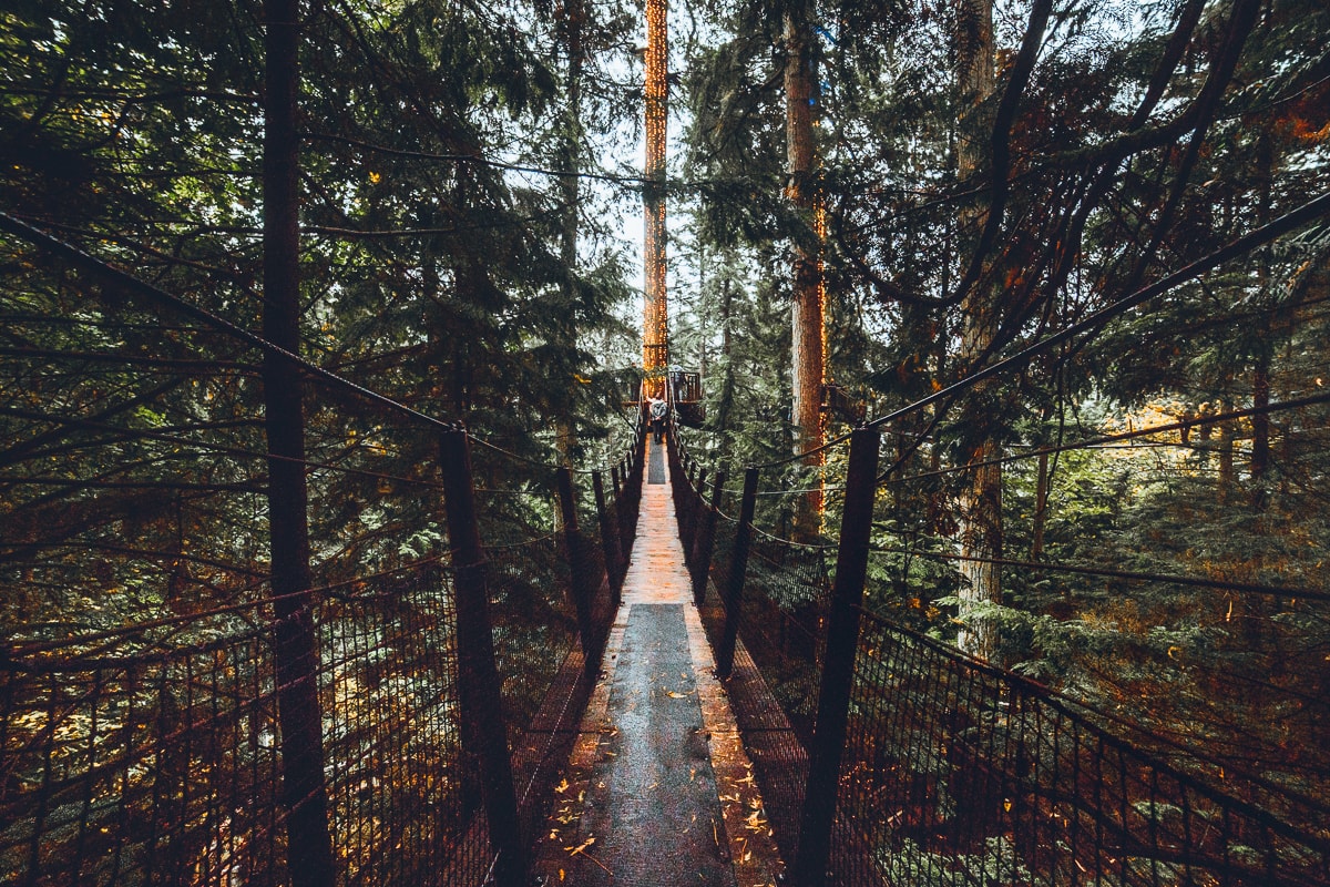 Treetop Walkway at Vancouver's Capilano park