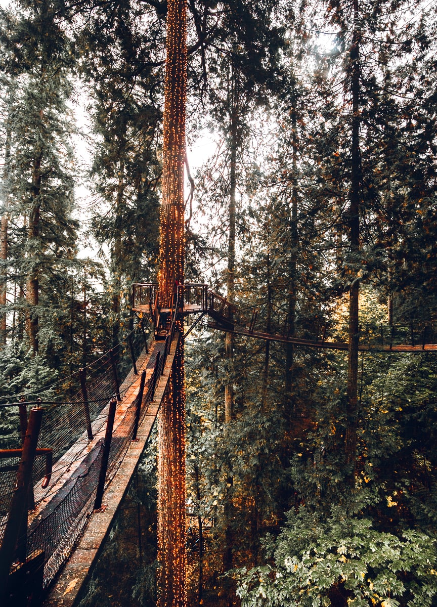 Treetop Adventure Walkway in Vancouver