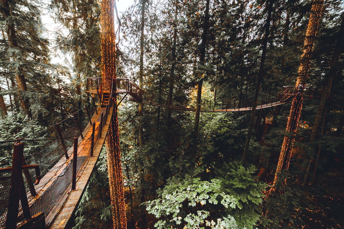 Treetop Walkway at Capilano Park