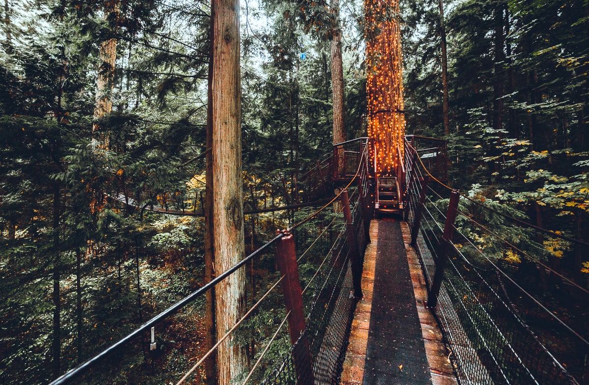 Treetop Walkway Vancouver